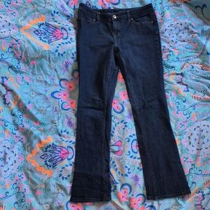 The Limited Dark Blue Boot Cut Jeans